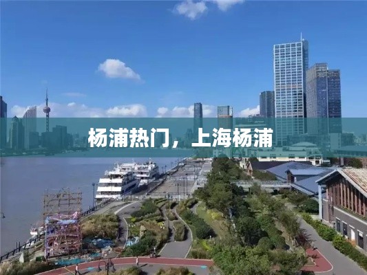 杨浦热门，上海杨浦 