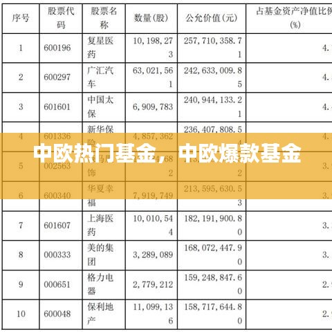 中欧热门基金，中欧爆款基金 