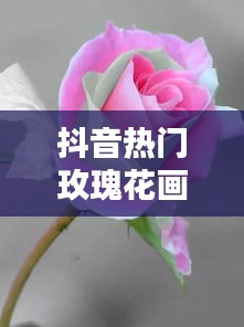 抖音热门玫瑰花画法，抖音玫瑰花素描 