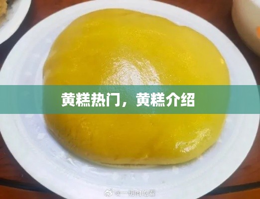 黄糕热门，黄糕介绍 