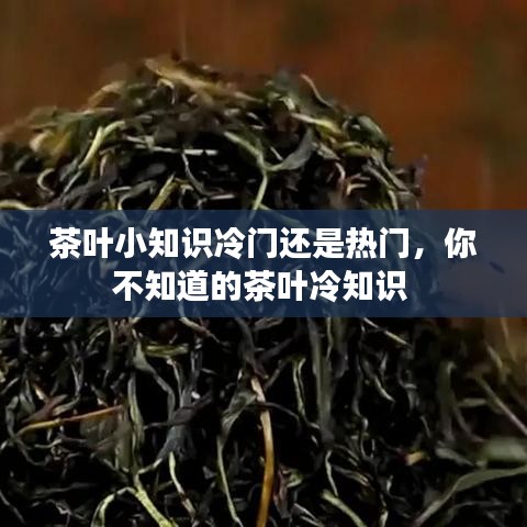 茶叶小知识冷门还是热门，你不知道的茶叶冷知识 