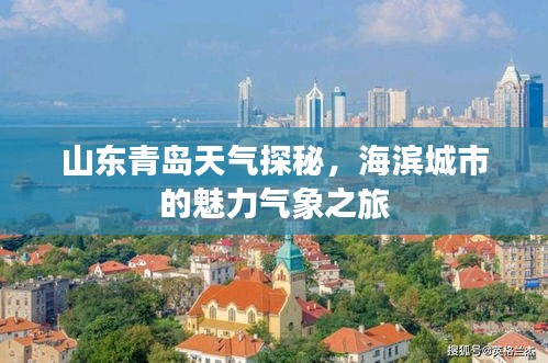 山东青岛天气探秘，海滨城市的魅力气象之旅