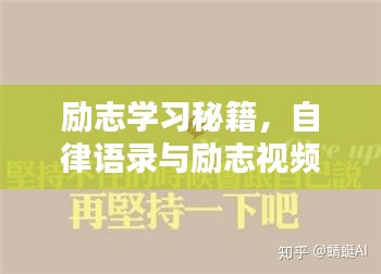 励志学习秘籍，自律语录与励志视频的无限能量源泉