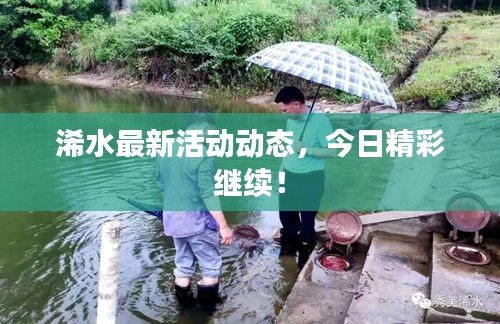 浠水最新活动动态，今日精彩继续！