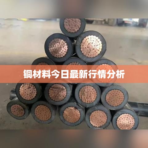 铜材料今日最新行情分析