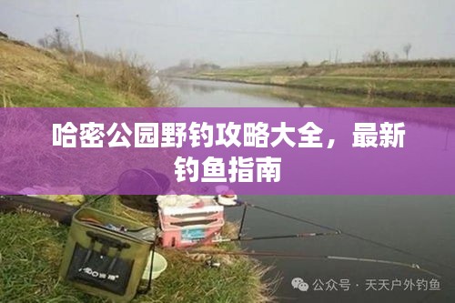 哈密公园野钓攻略大全，最新钓鱼指南