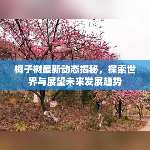 2025年5月12日 第2页