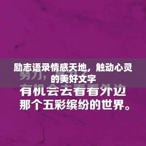 励志语录情感天地，触动心灵的美好文字