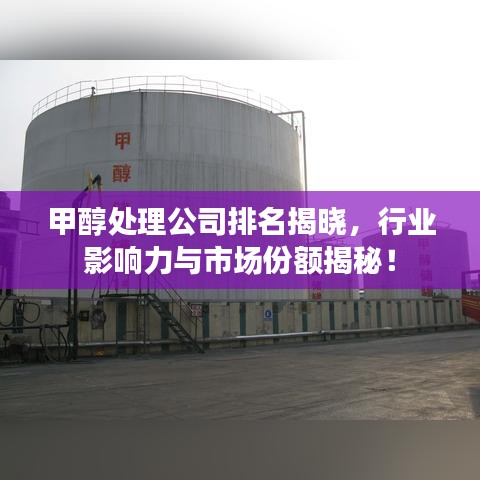 甲醇处理公司排名揭晓，行业影响力与市场份额揭秘！
