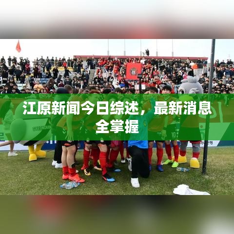 江原新闻今日综述，最新消息全掌握