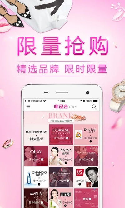 唯品网官方网站下载,快速解答计划设计 限量版_v6.879