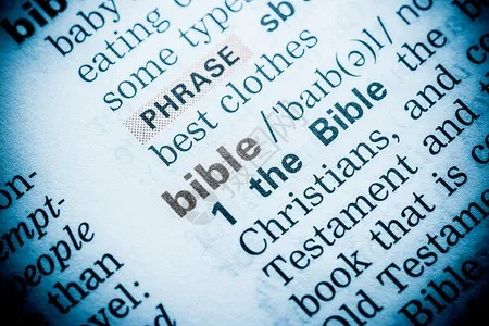 圣经官方免费下载,前沿解答解释定义_QHD_v1.918