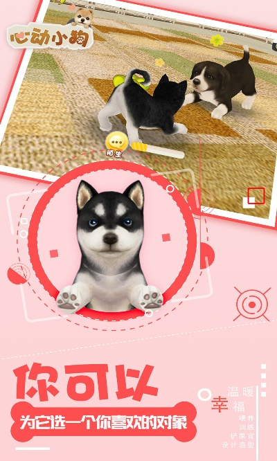 小狗360官方下载及心舞激活码礼包码,精准分析实施步骤_Pixel1_v5.459