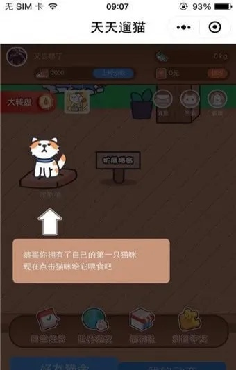 橙瓜官方下载与晴天小猫单机版,实地数据评估设计-终极版_v10.169