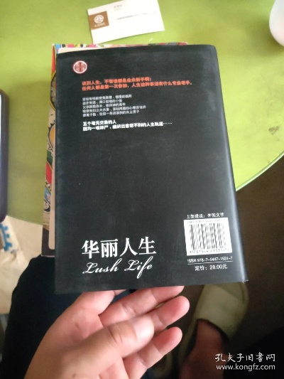 华丽人生单机版及yy ipad 下载官方下载2015,深层策略设计解析|动态版_v7.167