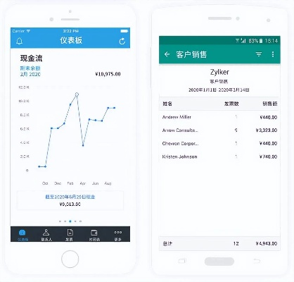 关于手机大师官方下载或进销存单机版与实地策略验证计划黄金版v4.733的免费版与专业版功能差异的对比介绍